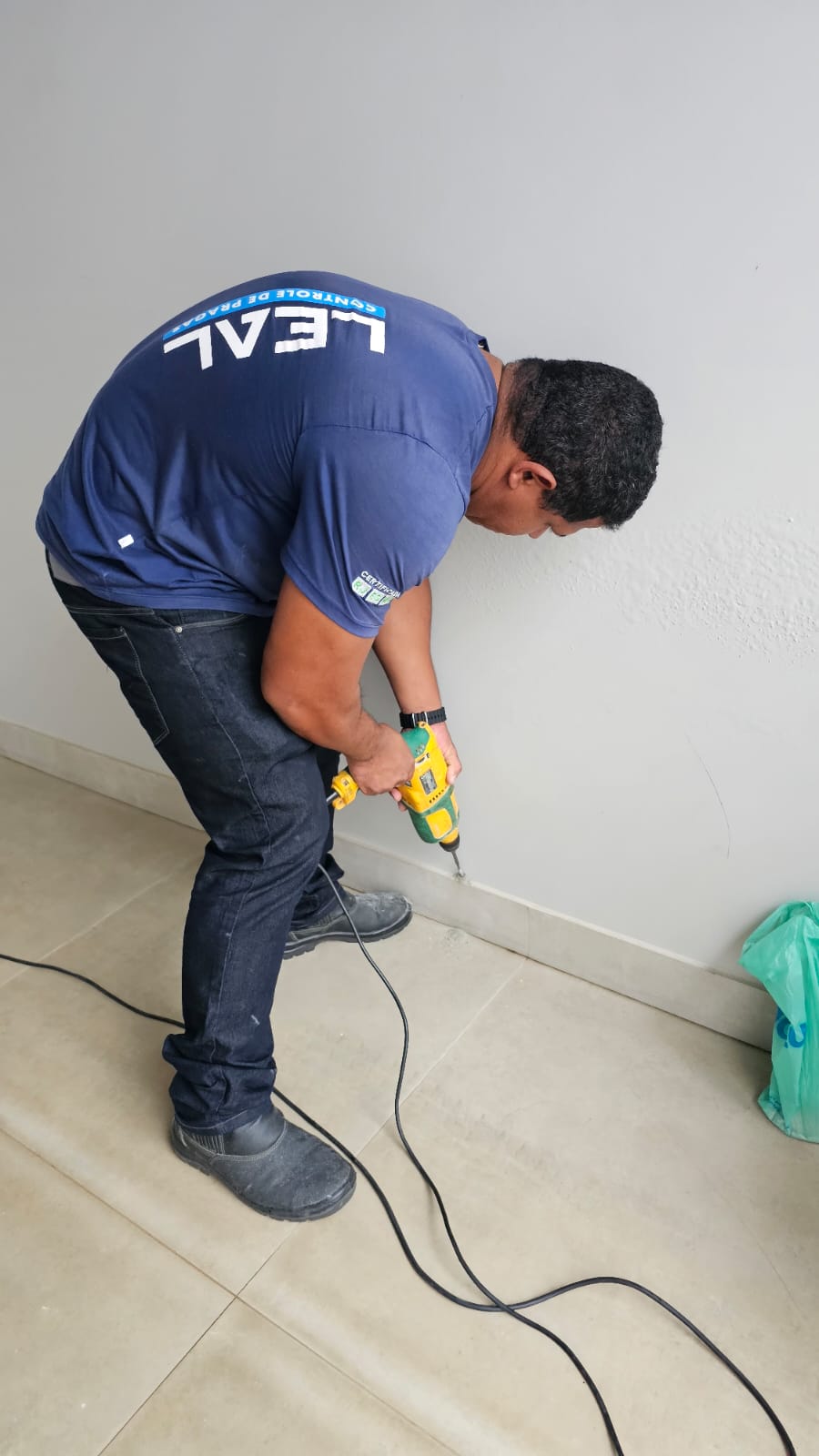 5 sinais de que sua casa tem cupim (e o que fazer)
