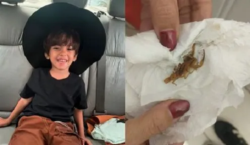 Tragédia: Menino de 3 Anos na UTI Após Picada de Escorpião em Escola